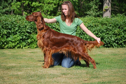 Bella juni 2009